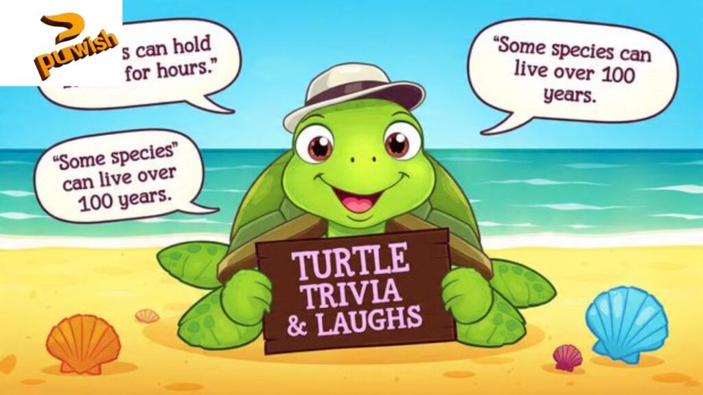 Turtle Trivia and Laughs