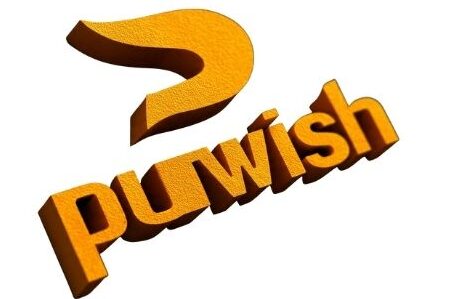 punwish.com