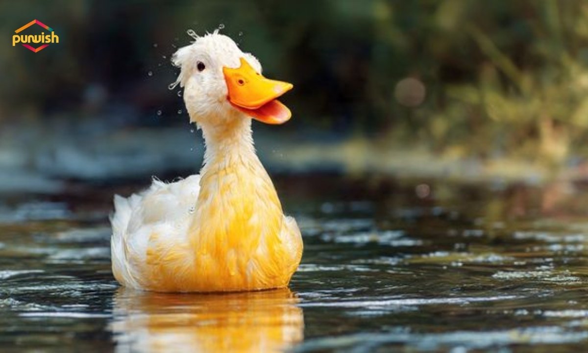 150+ Hilarious Duck Puns That’ll Quack You Up Instantly (Best Duck Jokes & Sayings)
