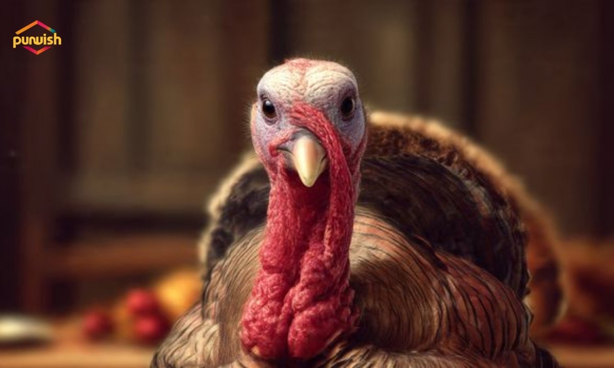225+ Turkey Jokes for Adults That Will Bring Holiday Laughs