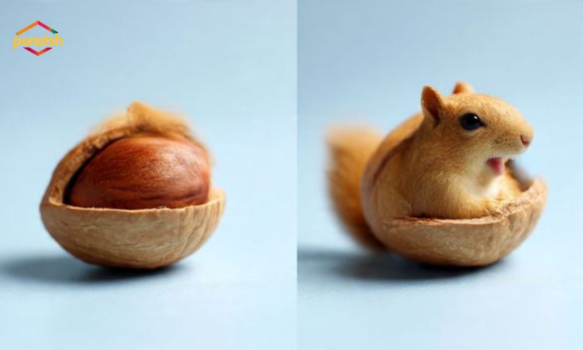 250+ Side-Splitting Nut Puns Guaranteed to Make You Laugh